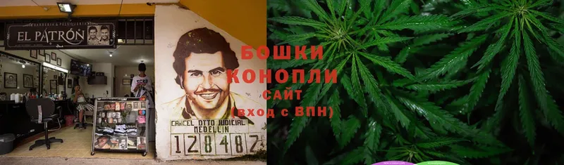 Бошки Шишки LSD WEED  Короча 